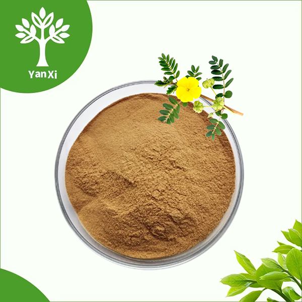 Tribulus Terrestris Extract Powder Tribulus Terrestris Extract Powder